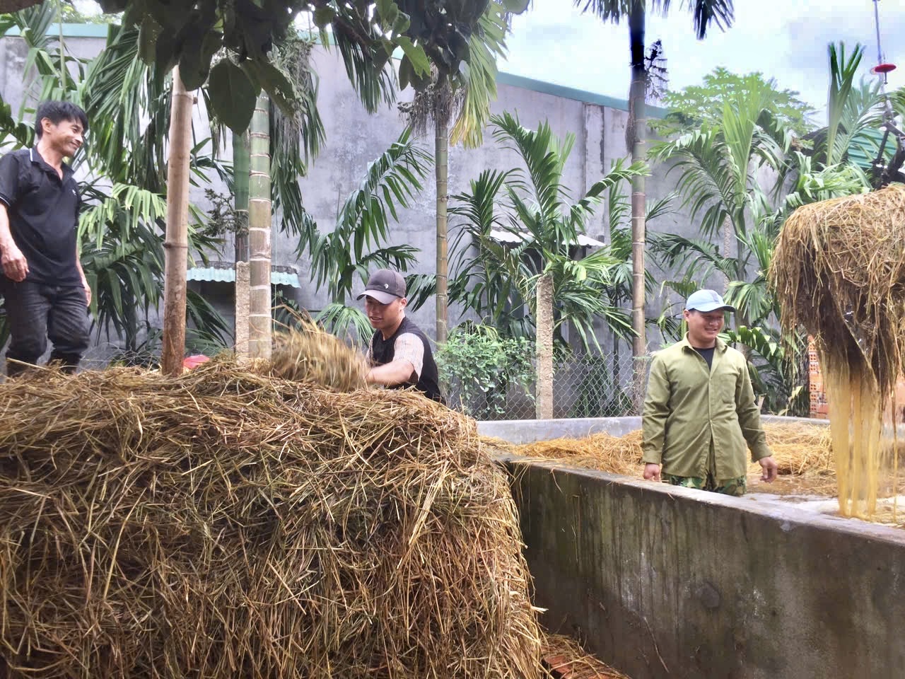 MÔ HÌNH CÓ HIỆU QUẢ TỪ VỐN VAY GQVL DO HỘI NÔNG DÂN QUẢN LÝ